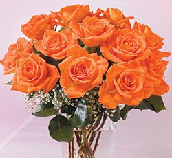 Orange Rosen