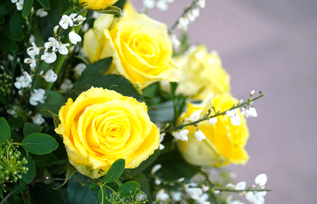 Symbol Gelbe Rose