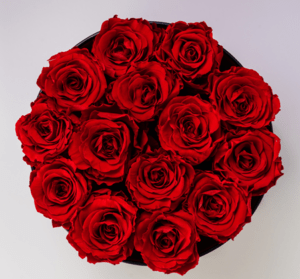 rote Rosen