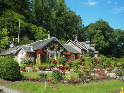 Garten mit vielen bunten Blumen